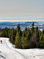 Parc du Mont Saint-Mathieu - Ski et Golf