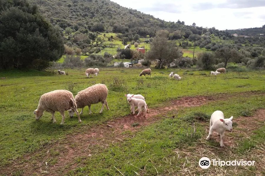 Diamond Farms Algarve