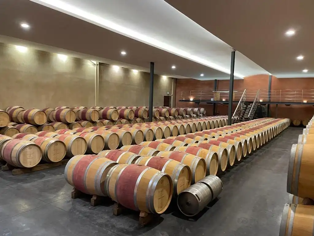 Hotel in zona Chateau Paloumey