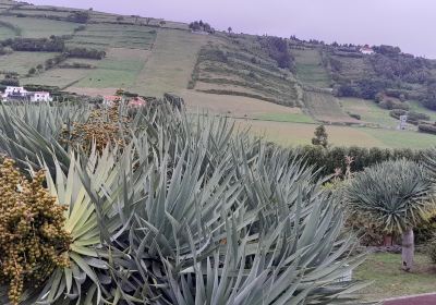 Jardín Botánico de Faial