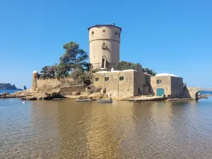 Spiaggia Pubblica Campese 1