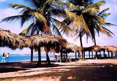 Playa Los Gringos