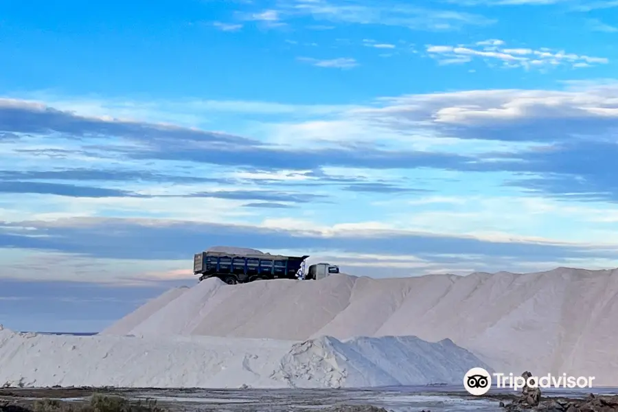 Salinas del Gualicho