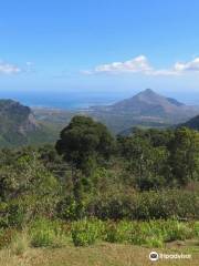 Macchabee Viewpoint