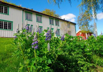 Helgeland Museum, avd Rana museum