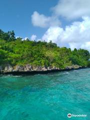 Ile aux Aigrettes Nature Reserve