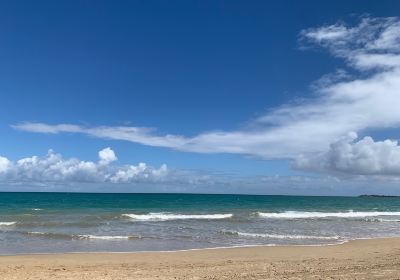 Carolina Public Beach