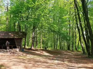 Sleza Landscape Park