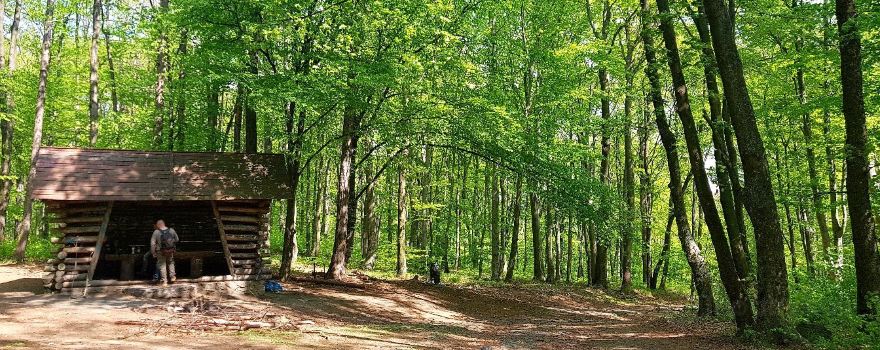 Sleza Landscape Park