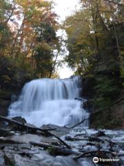 Decew Falls