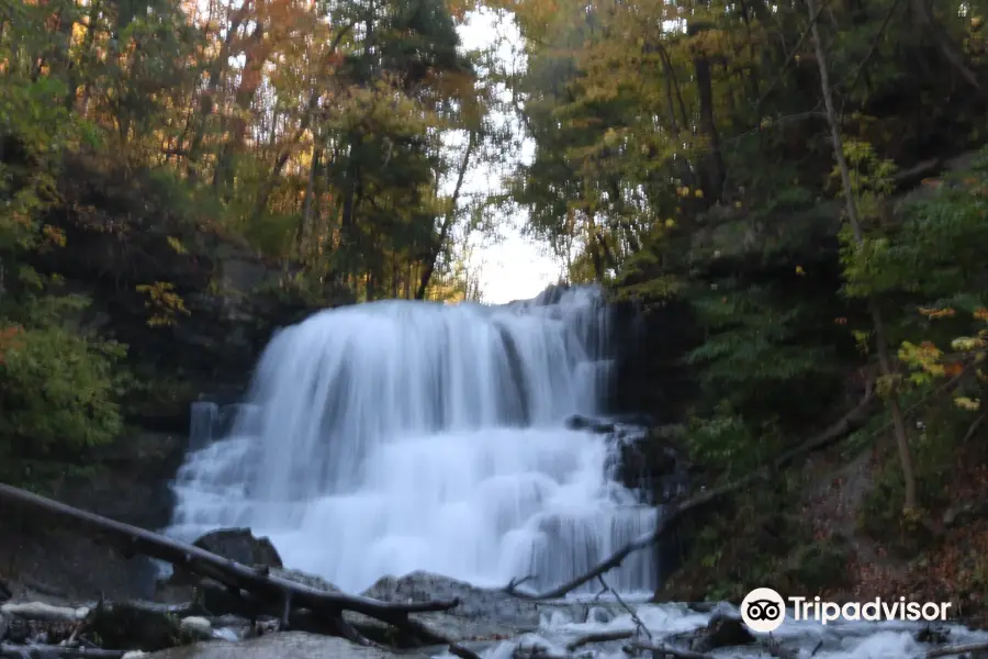 Decew Falls