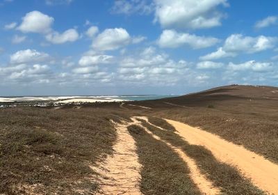 Jijoca de Jericoacoara