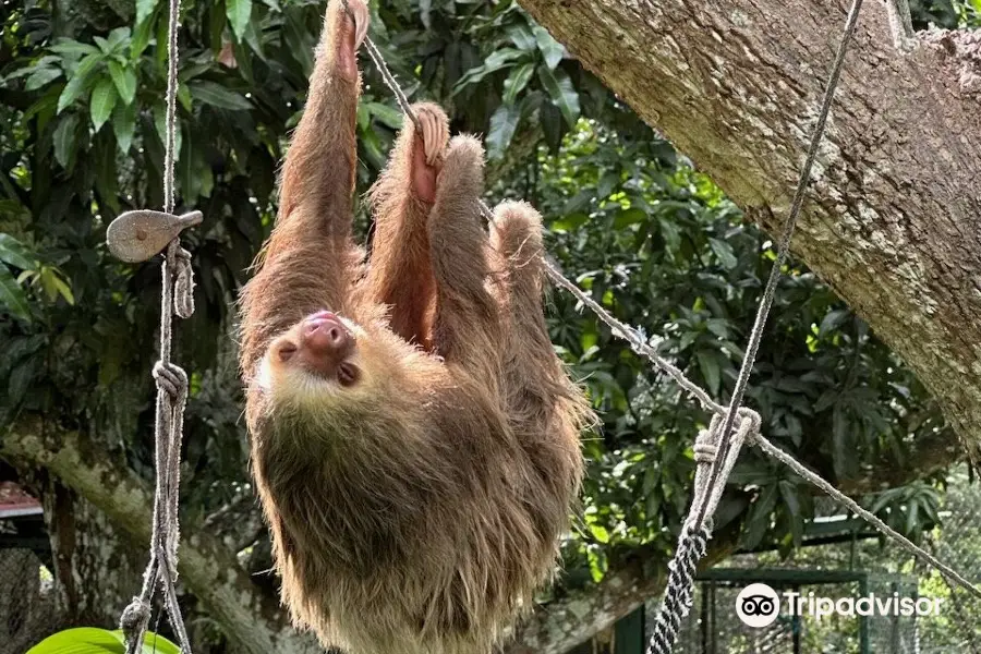 Costa Rica Animal Rescue Center