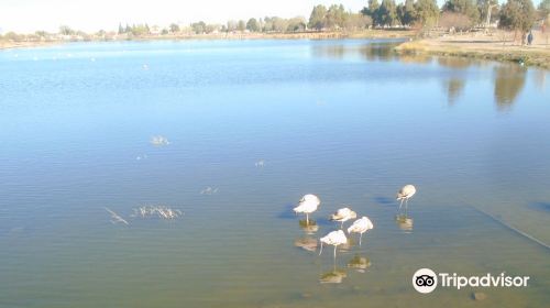 Laguna Chiquichano