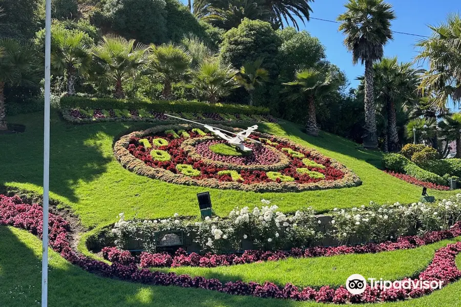 Flower Clock (Reloj de Flores)