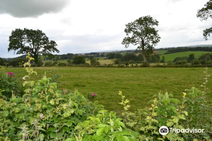 Tullyhogue Fort