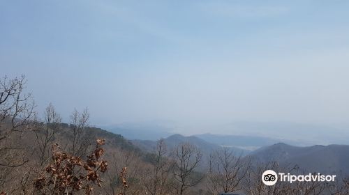 Gyeongsangbuk-do Arboretum