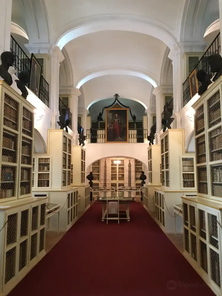 Târgu Mureș