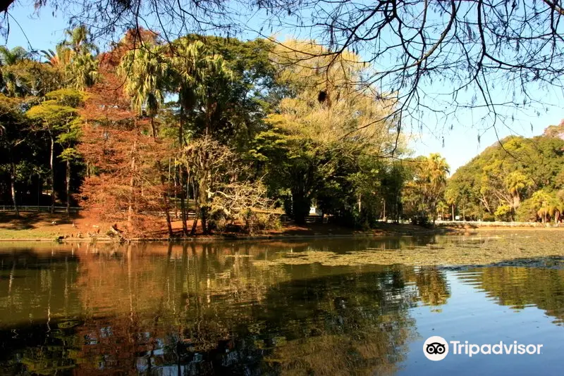 Florestal Orchard of Sao Paulo