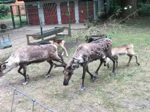 Tierpark Neumünster