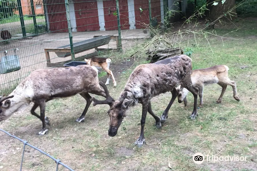 Tierpark Neumünster