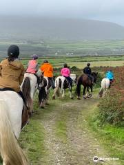 Long's Horse Riding