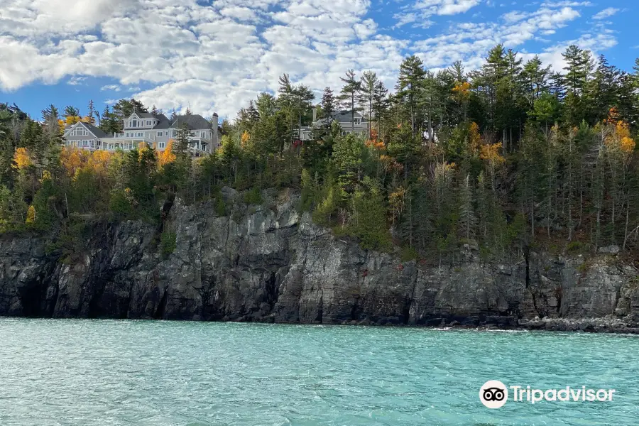 Acadian Boat Tours