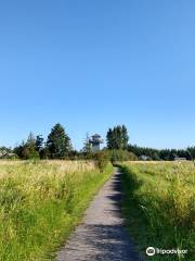 Tennant Lake Park