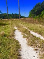 T. Mabry Carlton Jr. Memorial Reserve