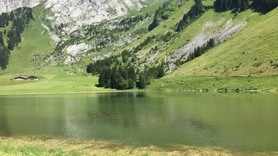 Col des Aravis