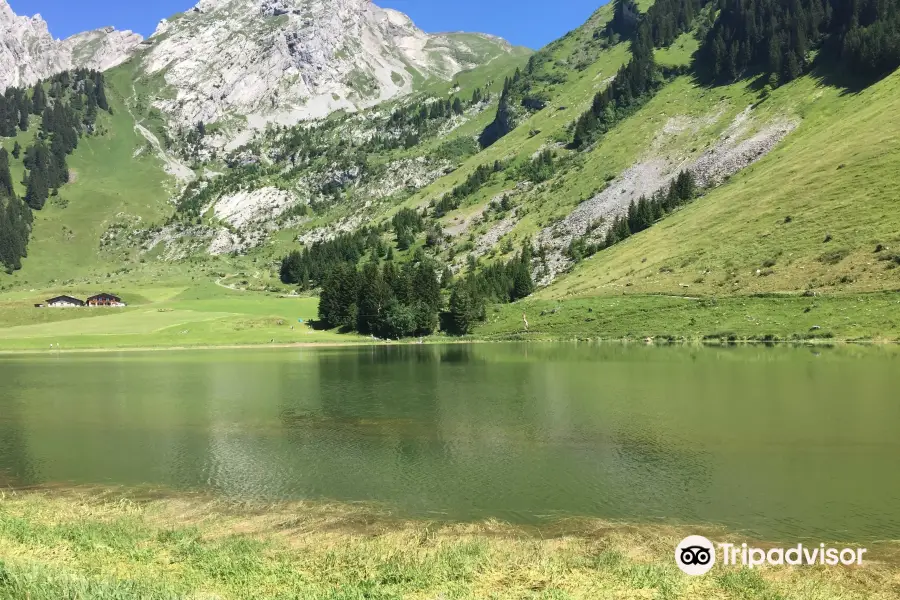 Col des Aravis