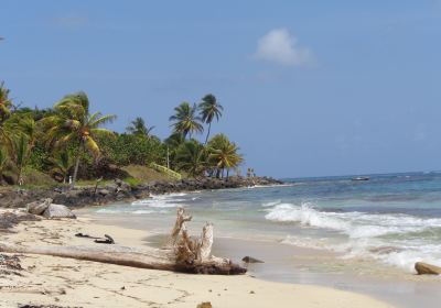 Bờ biển Nam Caribbean