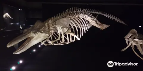 Museu Historico e Geografico do Vale do Itajai-Mirim