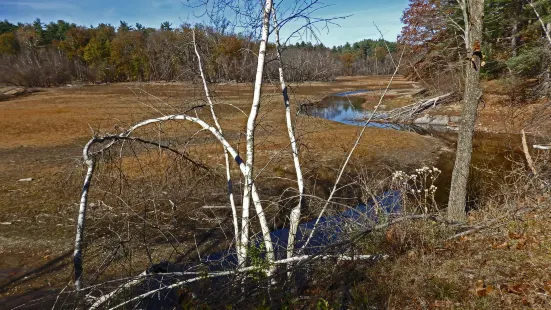 Norvin Green State Forest