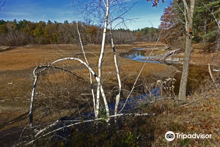 Norvin Green State Forest