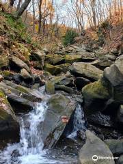 Buttermilk Falls Natural Area