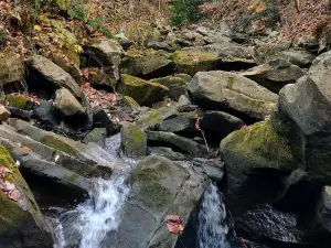 Buttermilk Falls Natural Area