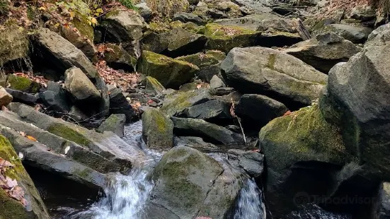 Buttermilk Falls Natural Area