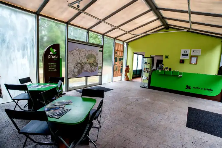 Hotels in Nordeste