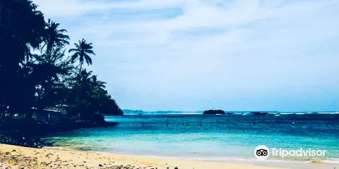 Polhena Beach