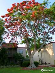 Sanibel Moorings Botanical Garden Tours