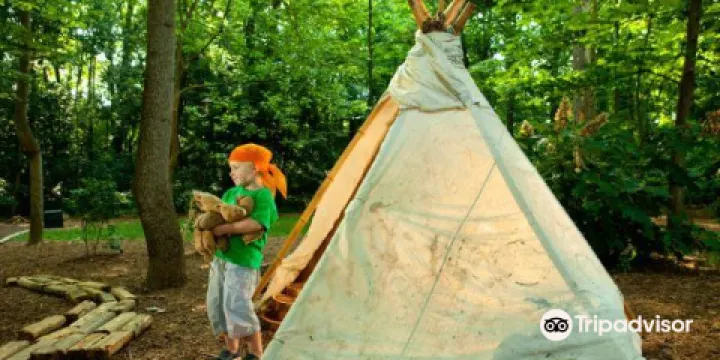 Discovery Place Nature