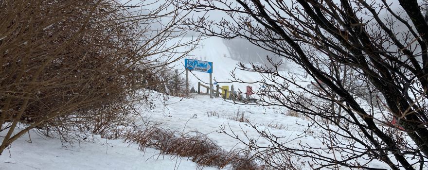 Wintergreen Resort