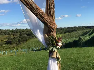 Vernon Vineyards