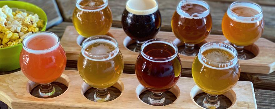 Finger Lakes Beer Company