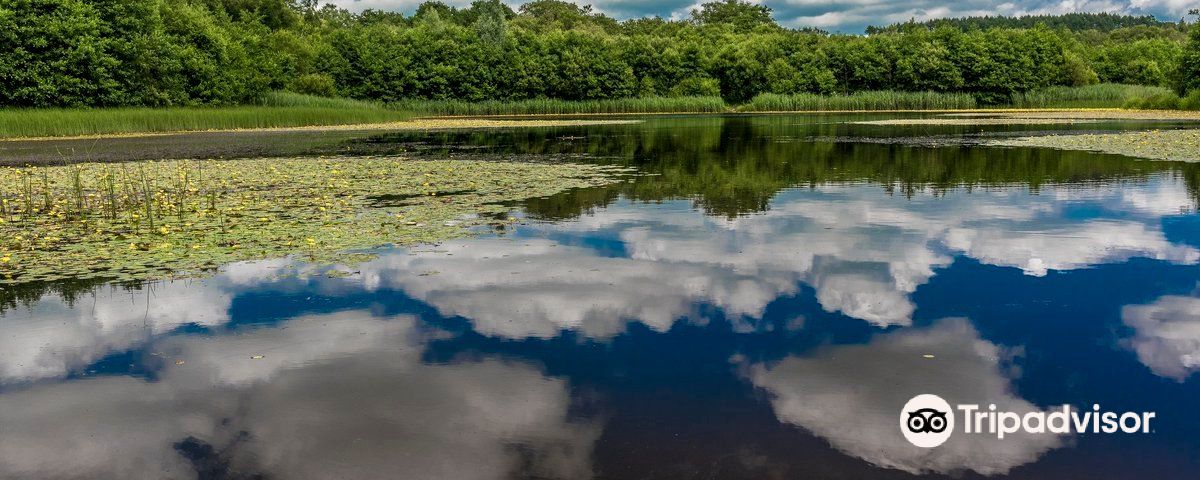 PenllergaerExcursions d'une journée