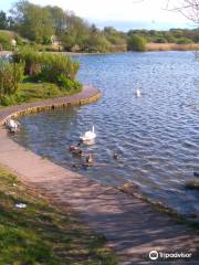 Cosmeston Lakes Country Park & Medieval Village