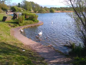 Cosmeston Lakes Country Park & Medieval Village