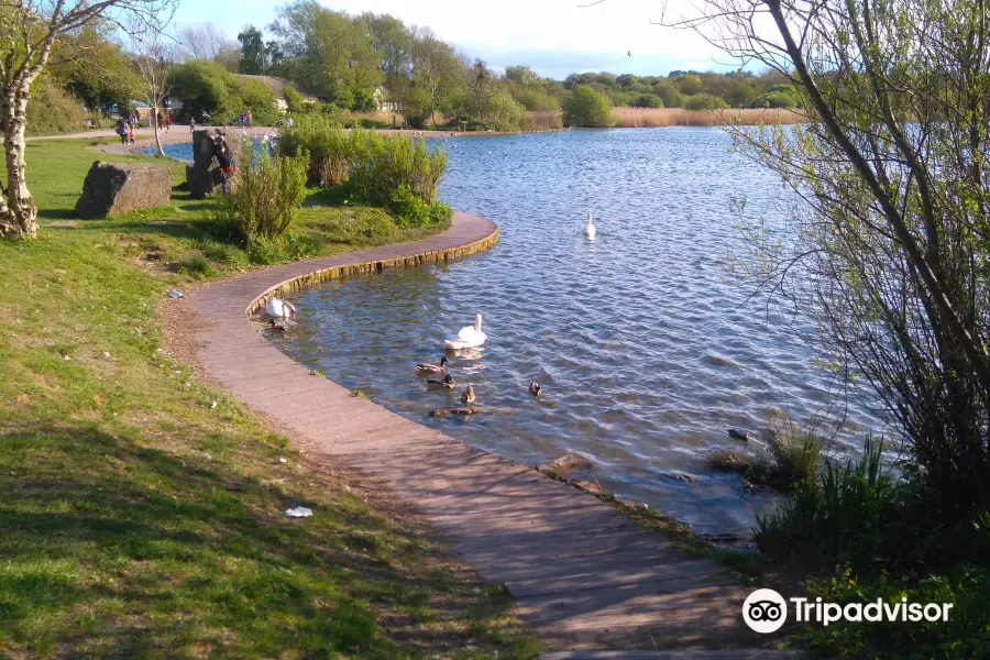 Cosmeston Lakes Country Park & Medieval Village
