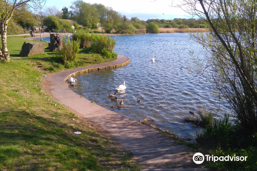 Cosmeston Lakes Country Park